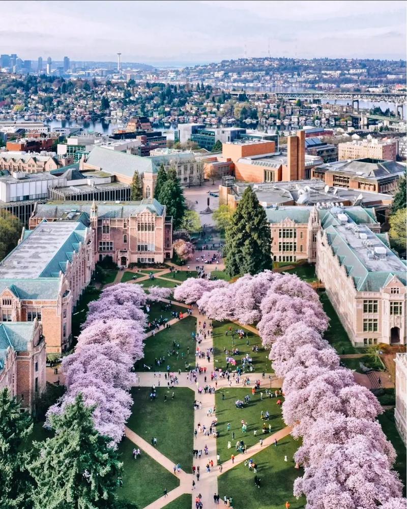 加州大学洛杉矶分校